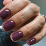 Faux ongles prune
